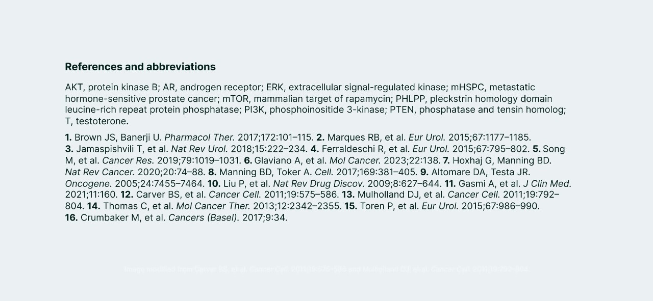PI3K/AKT and AR Signaling in PTEN-Deficient Tumors Illustration 9